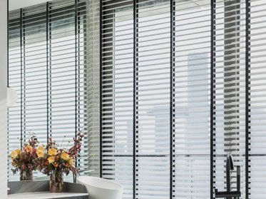blinds2